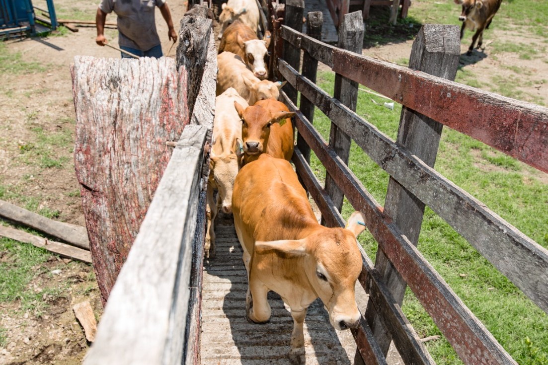 SEDARH PRODUCCIÓN 16AGOSTO2021 (2)