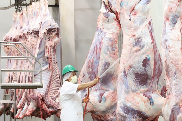 CERTIFICACIÓN TIF RASTRO 03SEPT2021 (2)