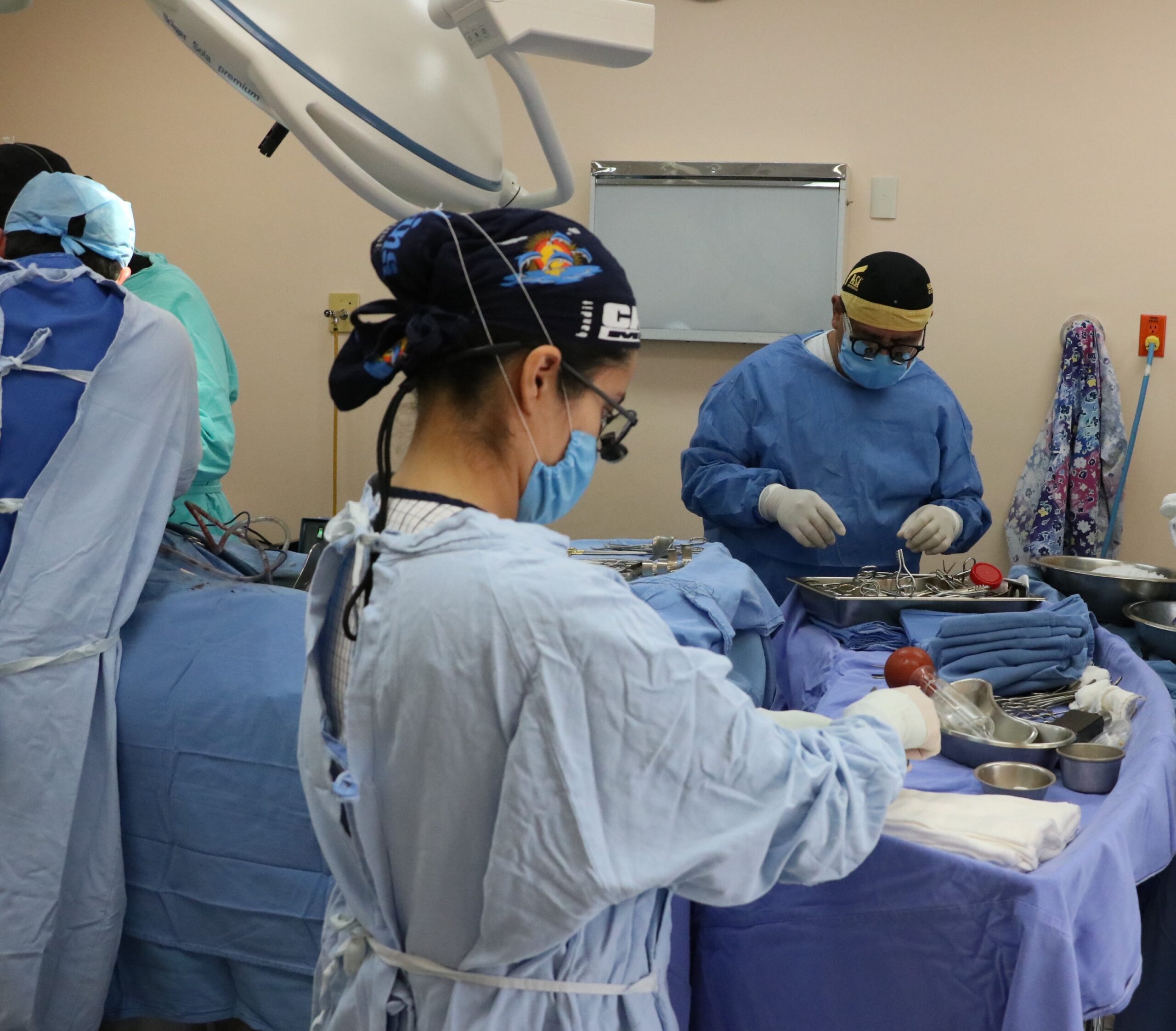 DONACIÓN MULTIORGÁNICA.