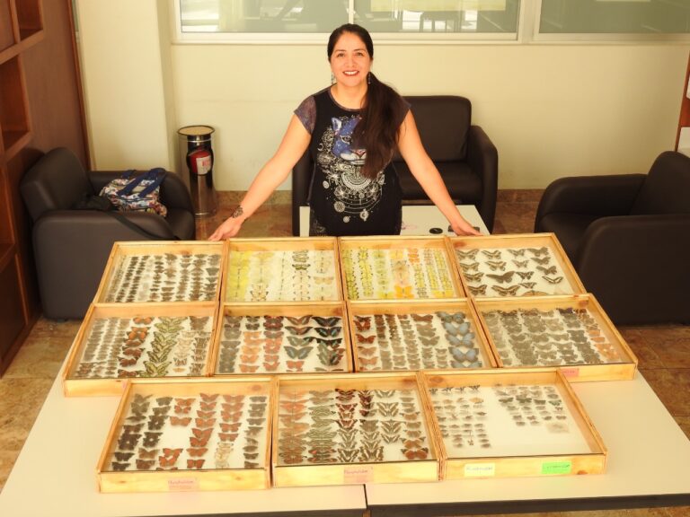 COLECCIÓN DE MARIPOSAS 07NOV2021