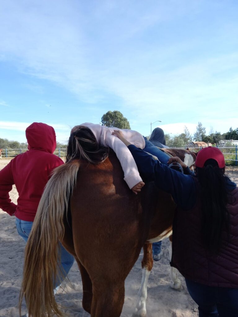 EQUINO TERAPIA 29NOV2021