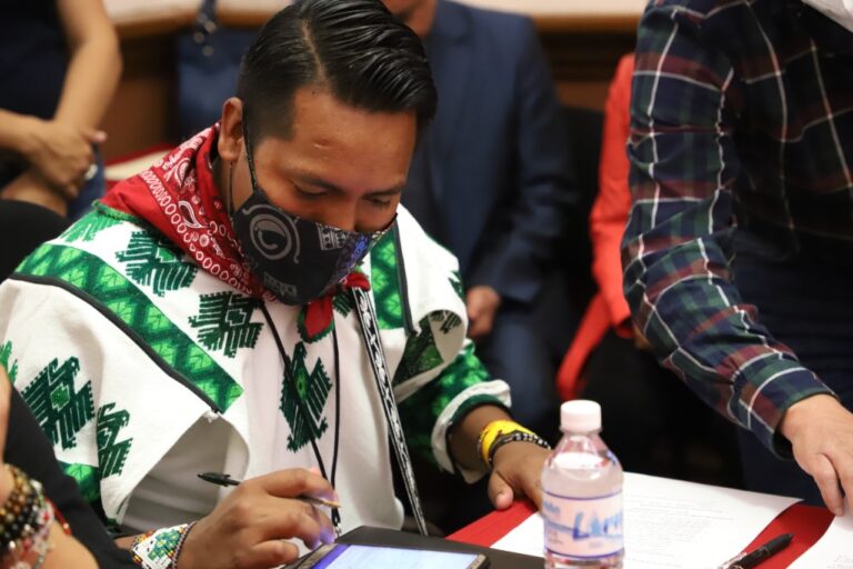 CONSULTA INDIGENA 17DIC2021