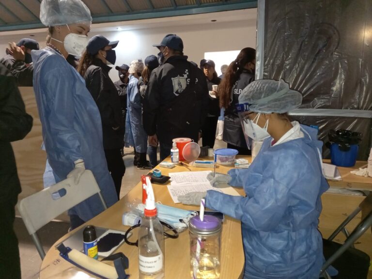 DIF MPAL REINS ADULT 14DIC2021