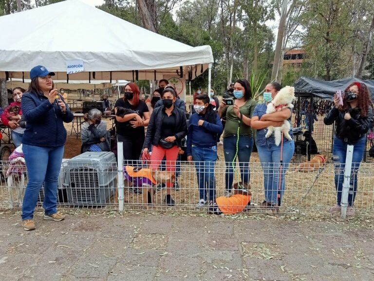FESTIVAL ADOPCIÓN 20DIC2021