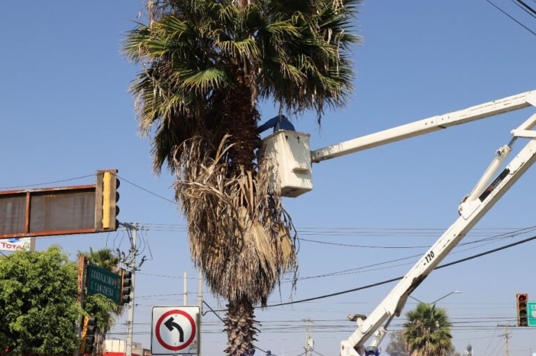 AVENIDA INDUSTRIAS 20FEBR2022 (2)
