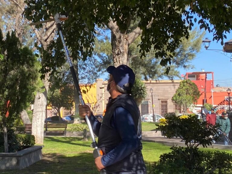 AYUNTAMIENTO JARDINES 27FEBR2022 (2)