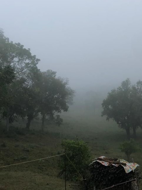 CEPC NUEVO FRENTE 14FEBR2022 (2)