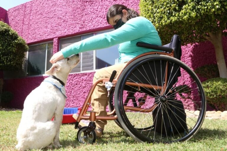 DIF EST CONVOCA 26FEBR2022 (2)