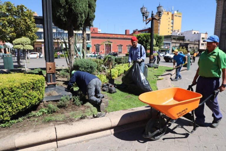 ÁREAS VERDES 24MAYO2022