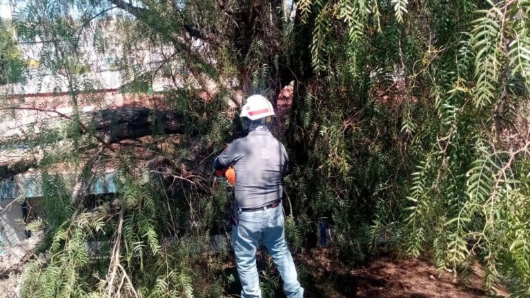 PC VIENTOS FUERTES 22MARZO2022 (2)