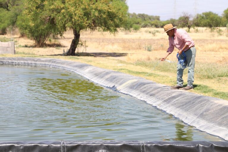 PRODUCCIÓN PISCICOLA 28MARZO2022