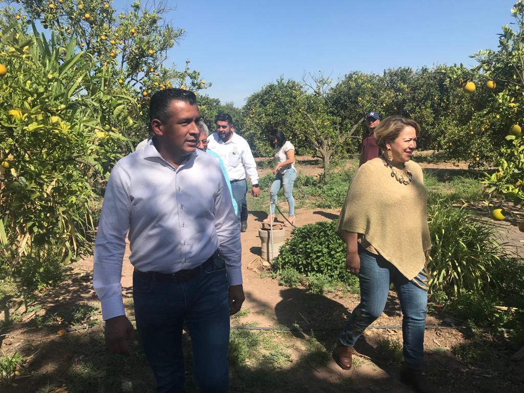 SEDARH COORDINA 26MARZO2022