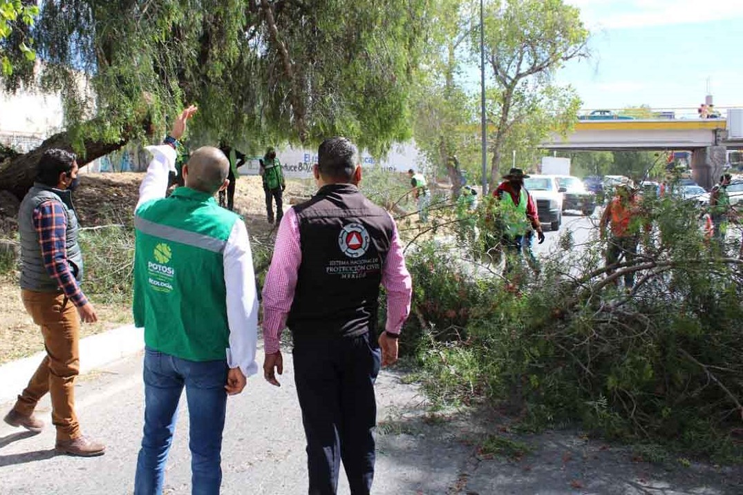 SEGAM OPERAT PODA 11MARZO2022 (2)