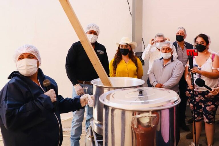 ELABORACIÓN QUESOS VdeREYES (2)