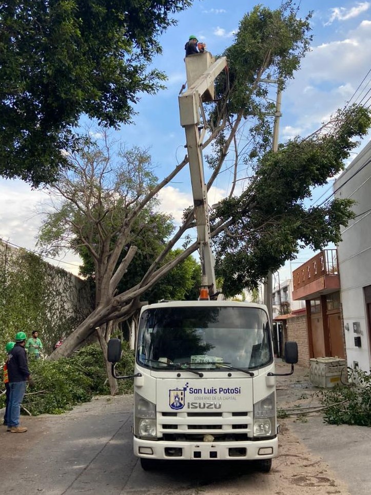 FUERTES VIENTOS 22ABRIL2022 (2)