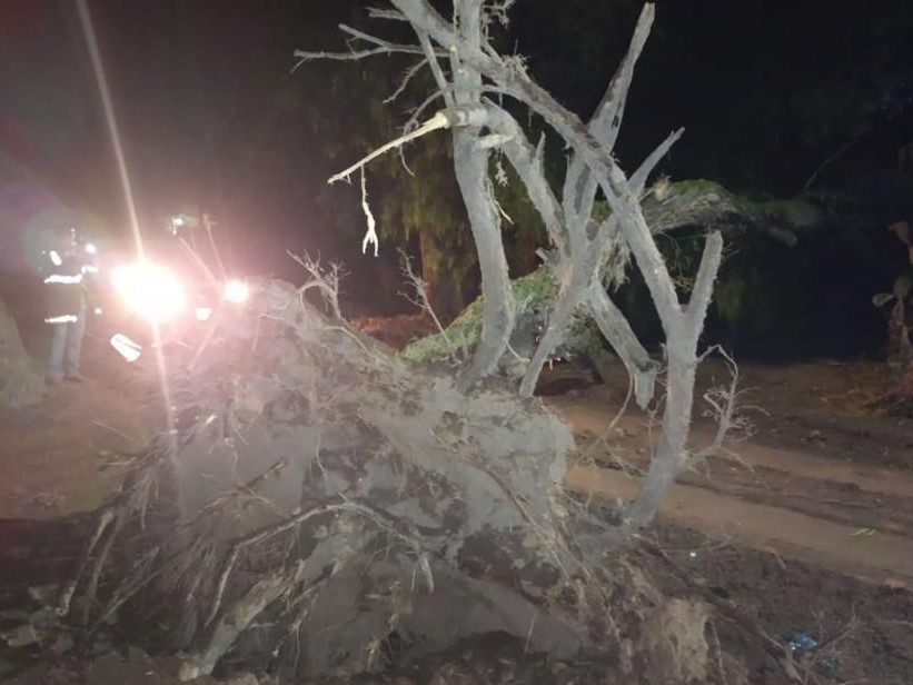 PROT CIVIL VdeREYES 22ABRIL2022 (2)