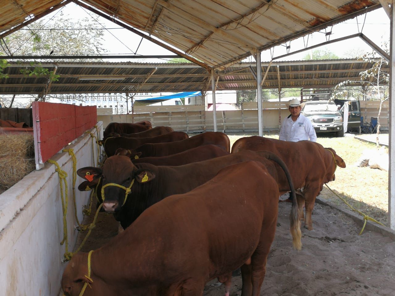 SEDARH GOB APOYA 14ABRIL2022