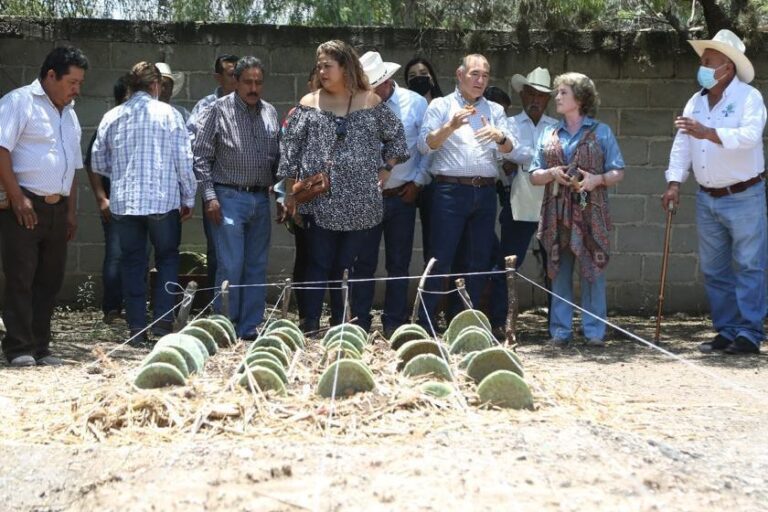 IMPULSO AGRICOLA BOCAS 19MAYO2022 (2)