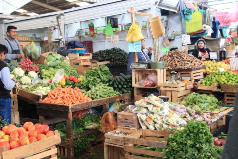 COMERCIO FORTALECE 01JUNIO2022