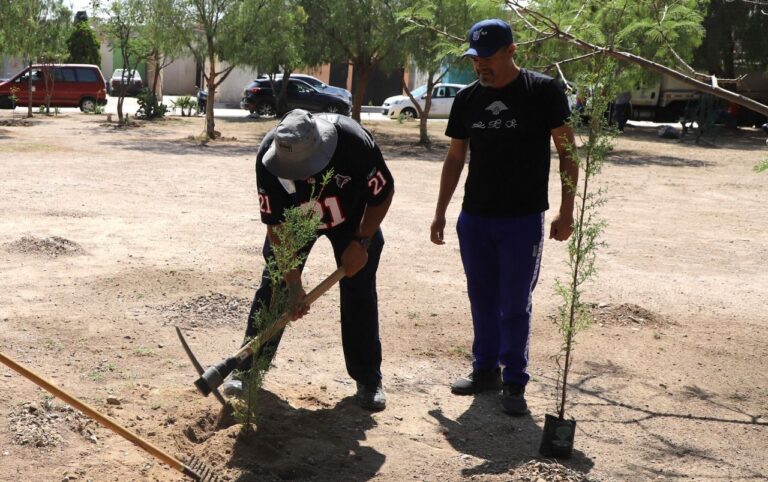 REFORESTACIÓN MASIVA 03JUNIO2022