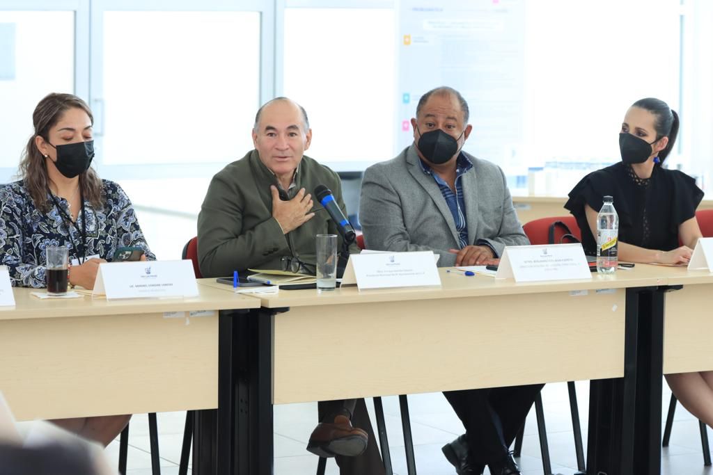 ALCALDE TERNA IMPLAN 18JULIO2022