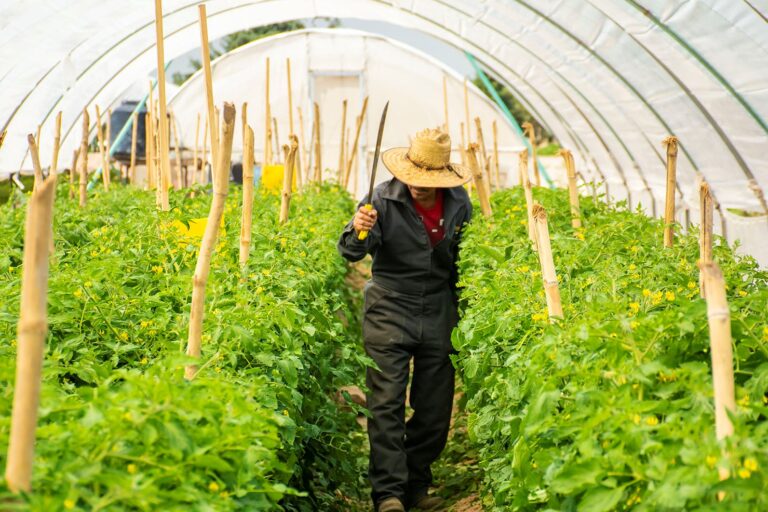 FACULTAD AGRONOMÍA 22JULIO2022 (2)