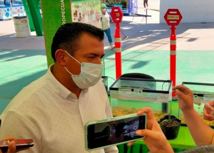 APOYOS GOBIERNO 25AGO2022