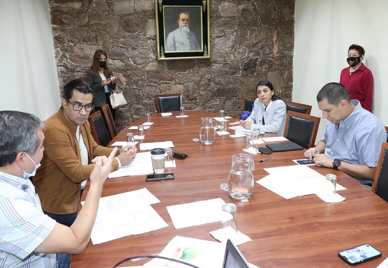 COMISIÓN ECOLOGÍA 19JULIO2022