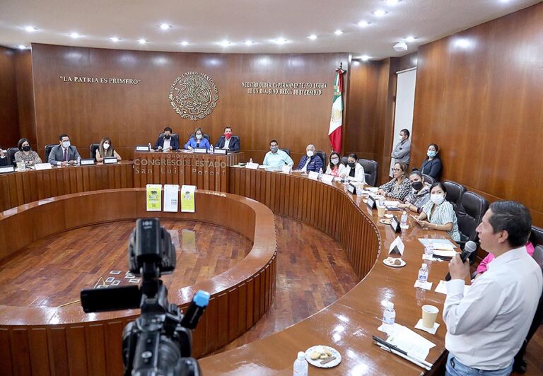 CONSULTA DISCAPACIDAD 24AGO2022