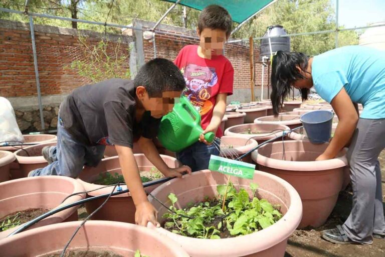 IMPLEMENTA DIF 30AGO2022