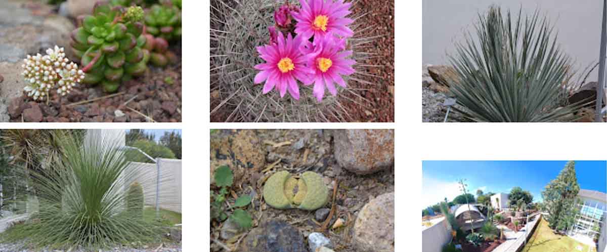 PROMUEVE COPOCYT 21AGO2022