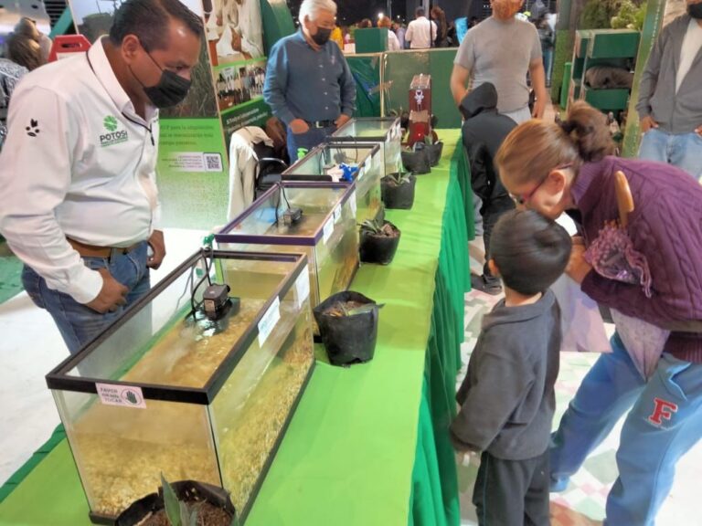 SEDARH INTERACTIVO 28AGO2022