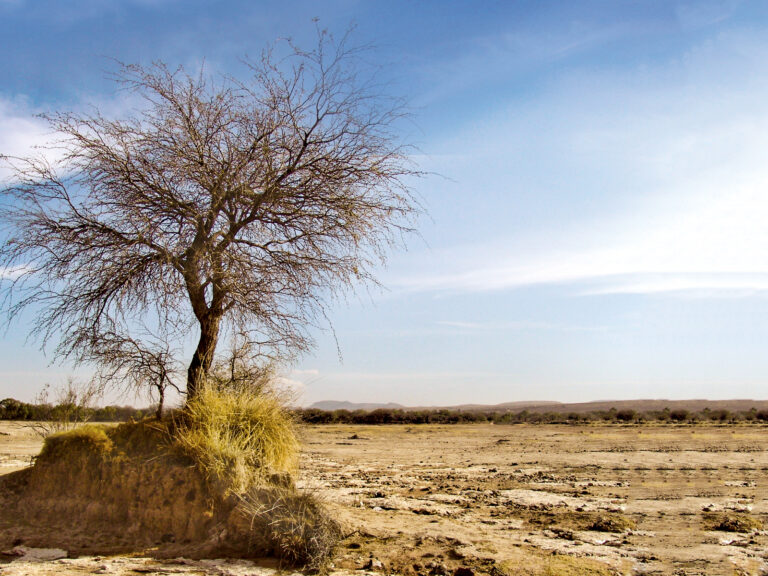 SEQUÍA INTENSA 12AGO2022