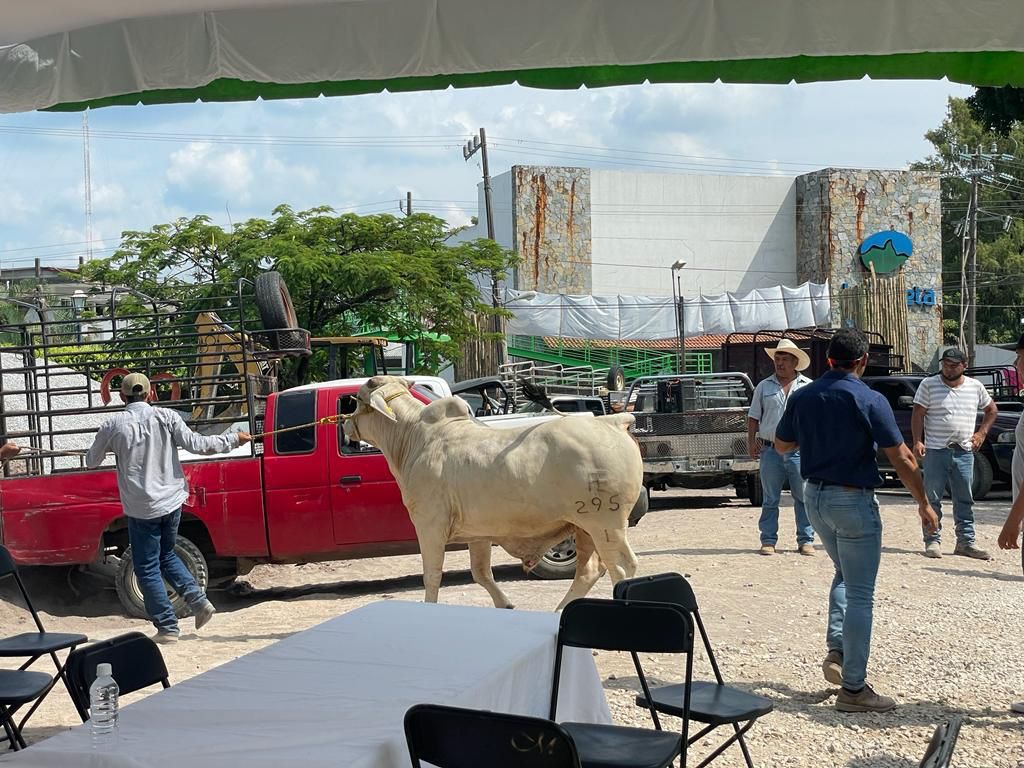 GOBIERNO IMPULSA 03SEPT2022