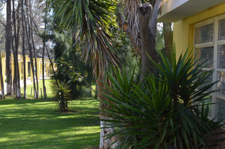 SALUD CLÍNICA PSIQ 310CT2022 (2)