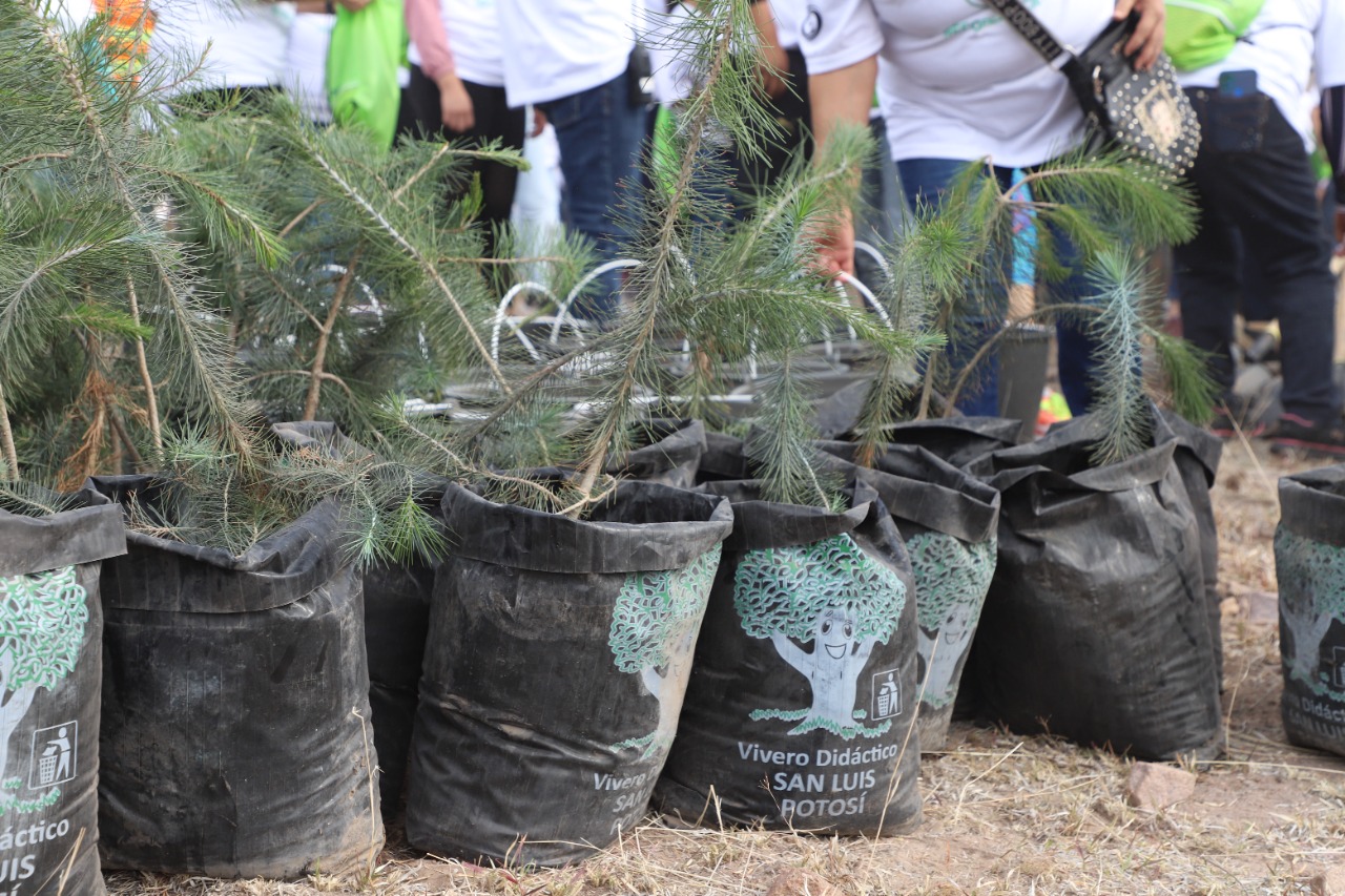 SEGUIMIENTO AL PMD 09OCT2022