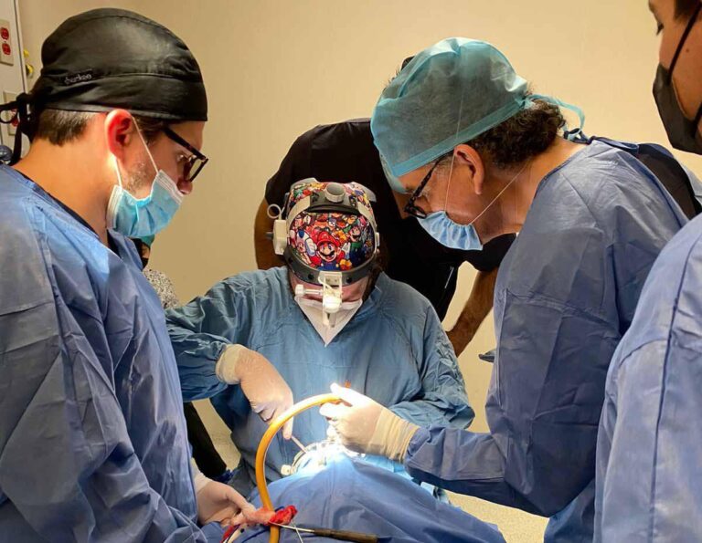 ARRANCA CAMPAÑA 15NOV2022