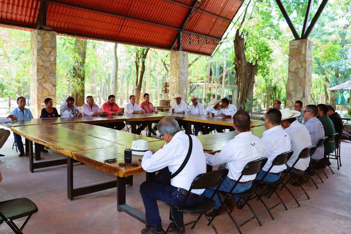 IMPULSA GOBIERNO 13MARZO2023