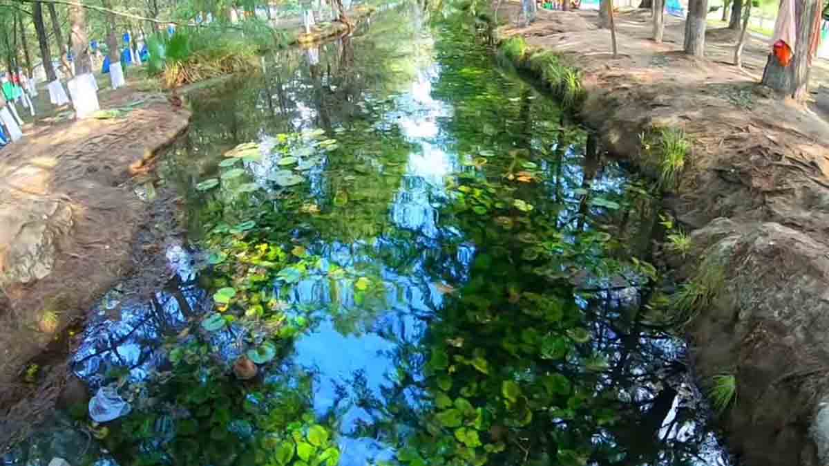 CON RESPALDO 15ABRIL2023