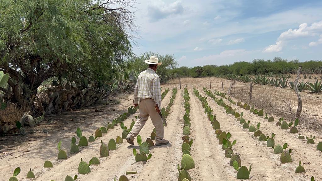SEGURIDAD ALIMENTARIA 27MAYO2023