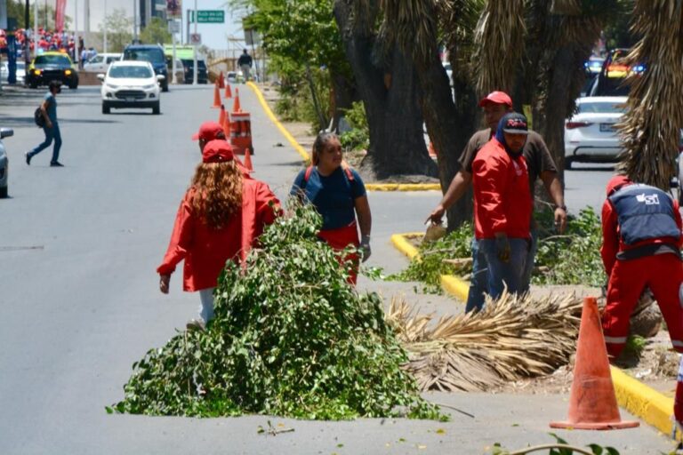 MANTENIMIENTO PARQUES 07JUNIO2023