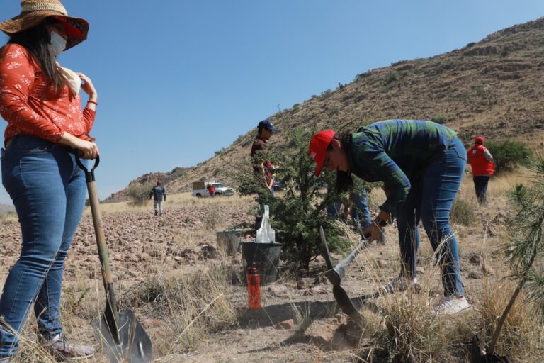 PULMONES URBANOS 18JUNIO2023