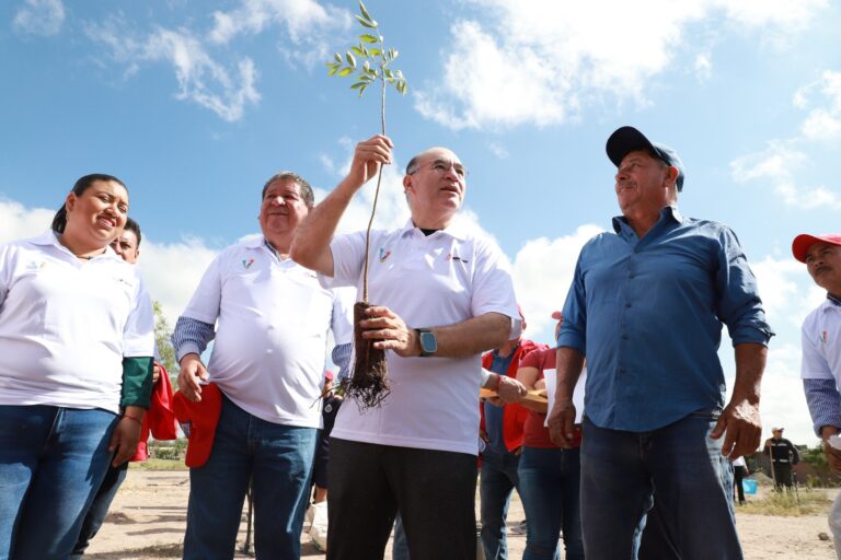 PULMONES URBANOS 25JUNIO2023