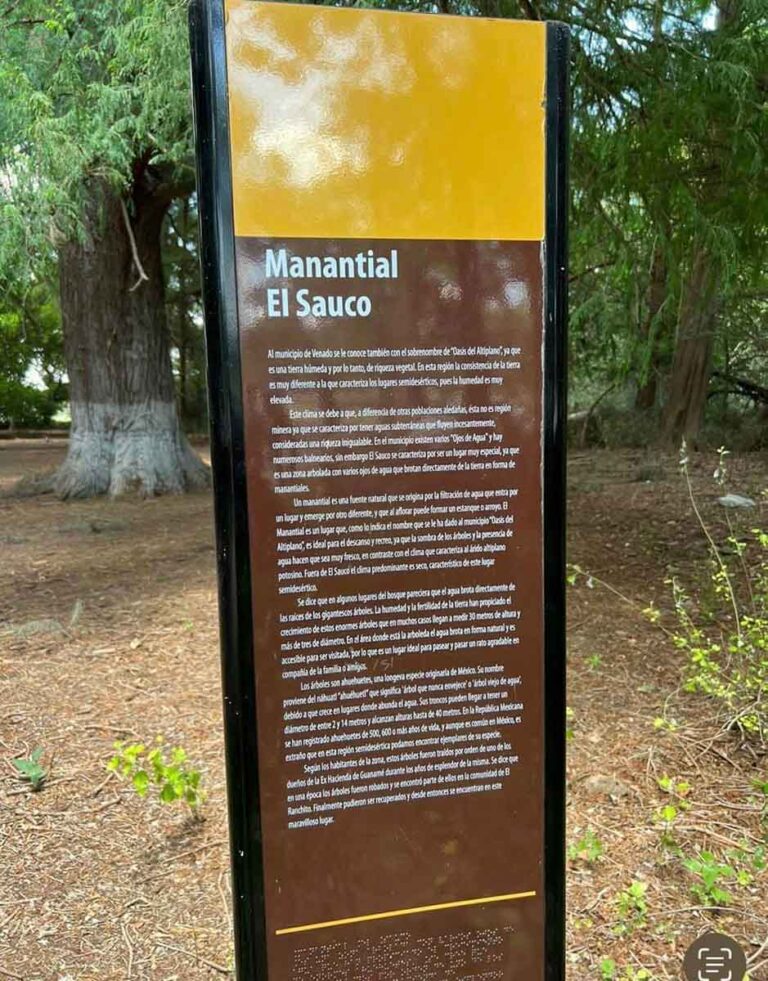 VENADO SERÁ 27JUNIO2023