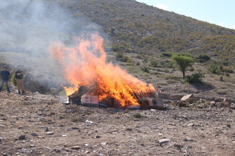 INCINERACIÓN ESTUPEF 27JULIO2023