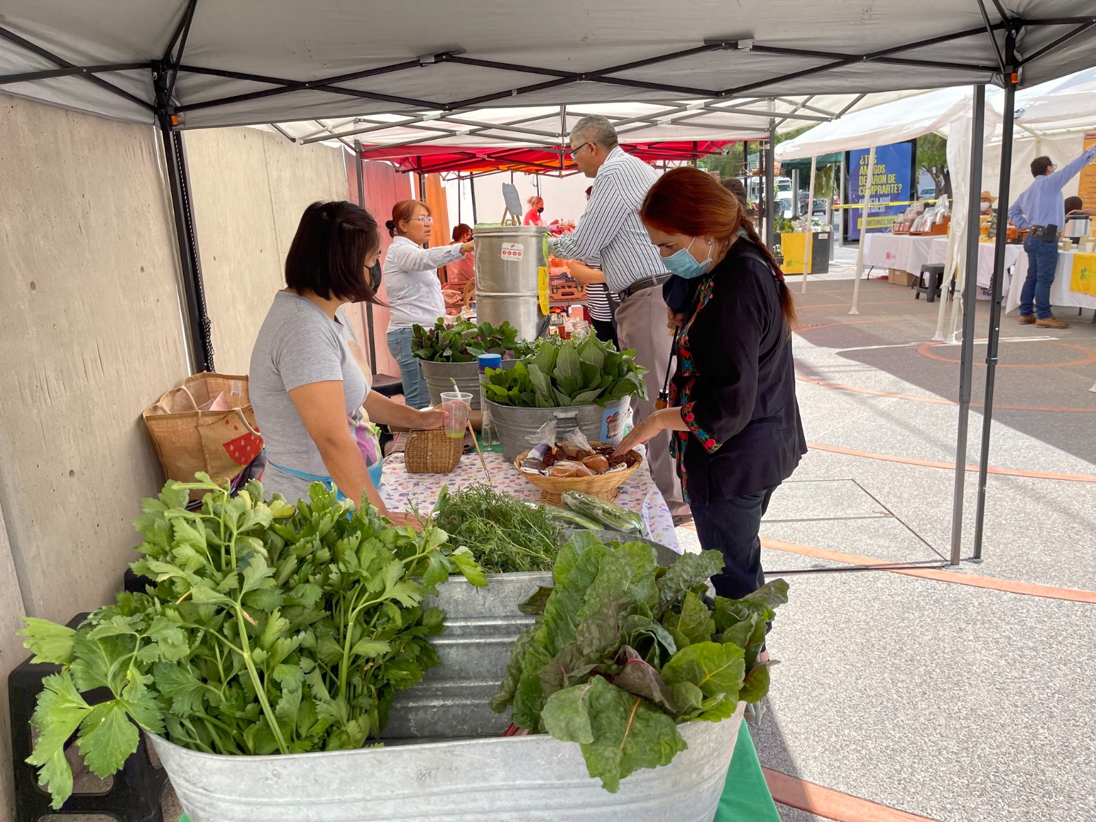 MERCADO MACUILLI 19JULIO2023