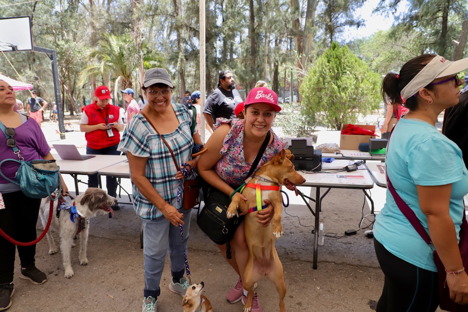 REGISTRO MASCOTAS 17JULIO2023