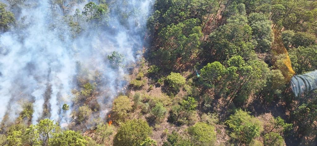 BRINDA APOYO 13AGO2023