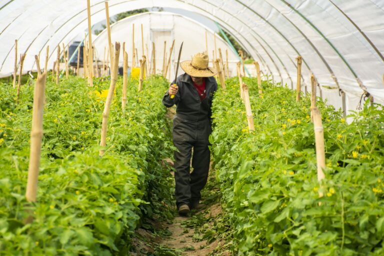 ESPACIOS FACULTAD 04AGO2023