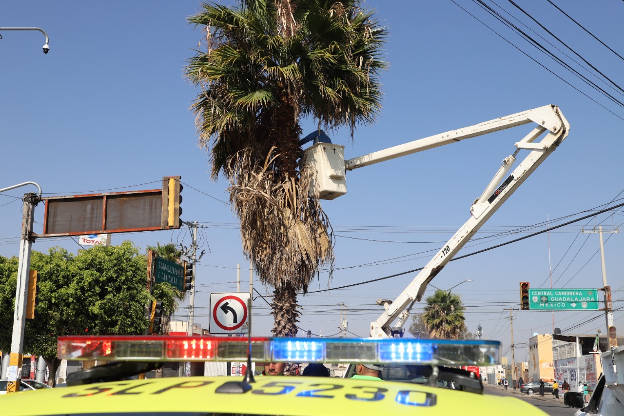 PARQUES Y JARDINES 30AGO2023